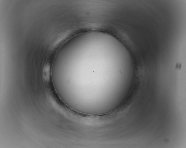 X0000112210024200908211529