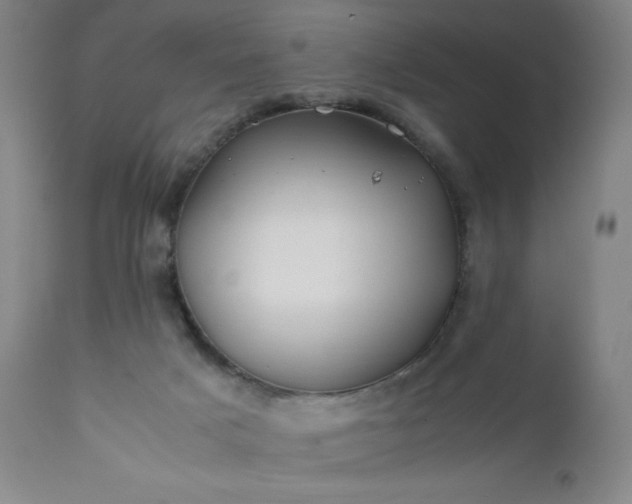 X0000112210025200908211529