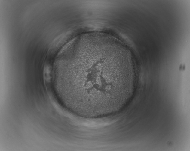 X0000112210026200908211529