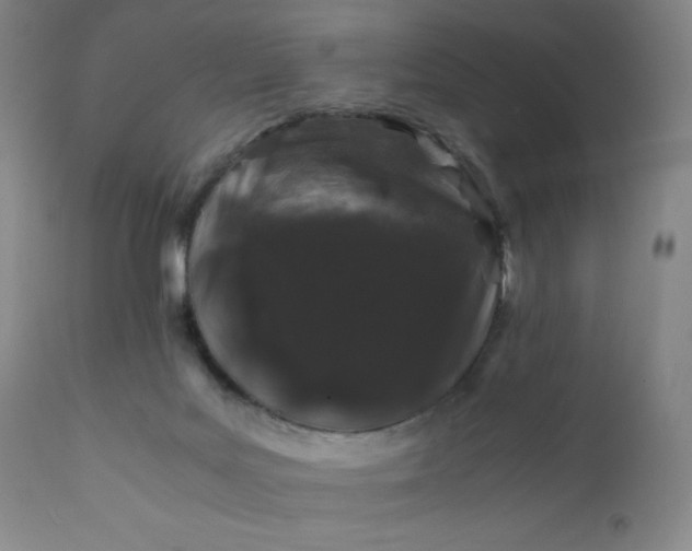 X0000112210027200908211529