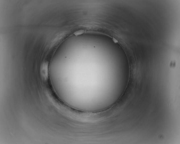 X0000112210028200908211529