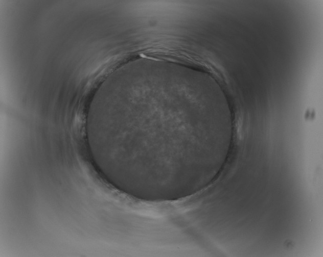 X0000112210029200908211529