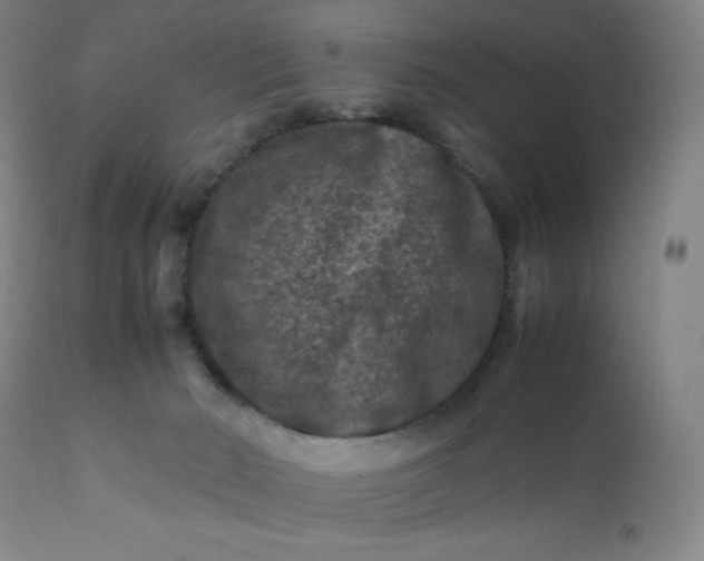 X0000112210030200908211529