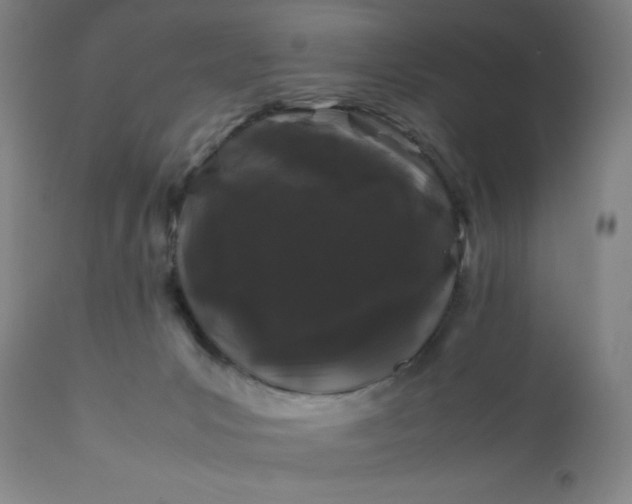 X0000112210031200908211529