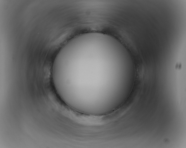 X0000112210032200908211529