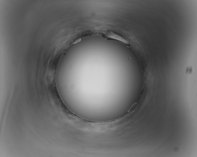 X0000112210033200908211529