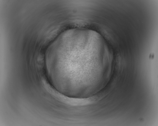 X0000112210034200908211529