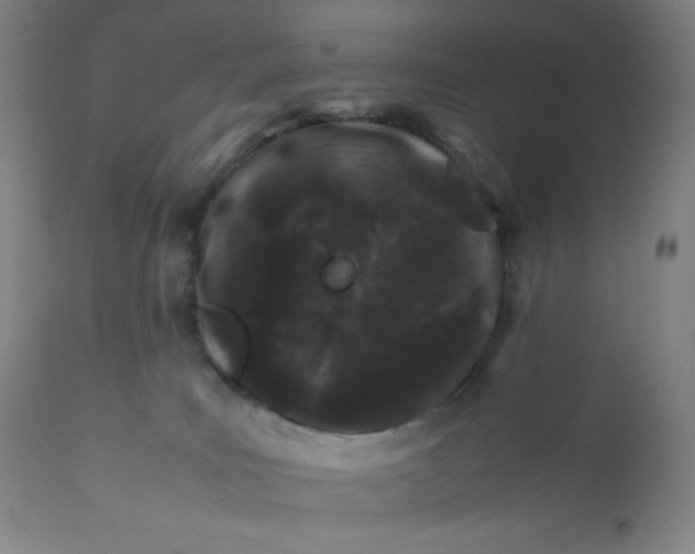 X0000112210035200908211529