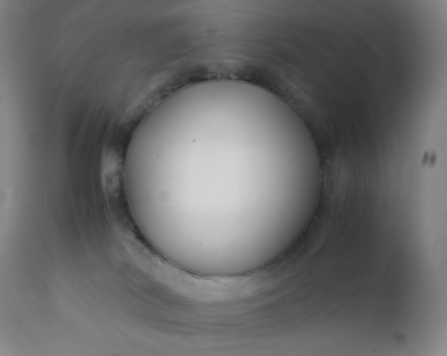 X0000112210038200908211529