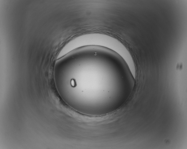 X0000112210039200908211529