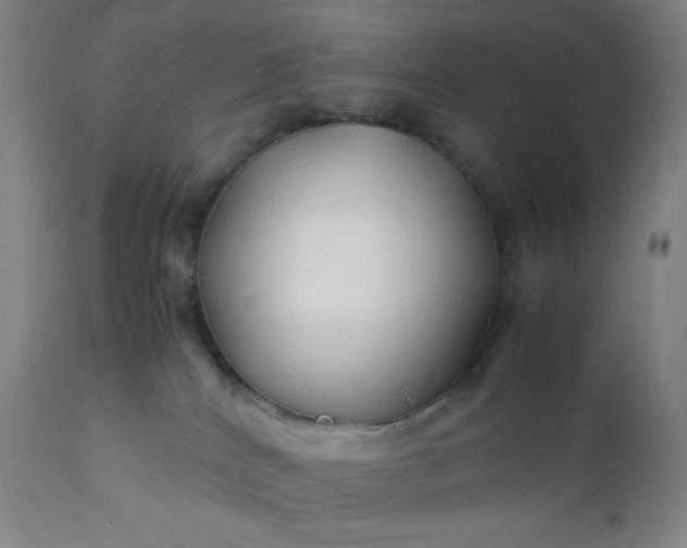 X0000112210040200908211529