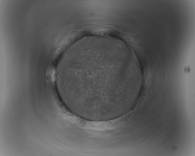 X0000112210041200908211529