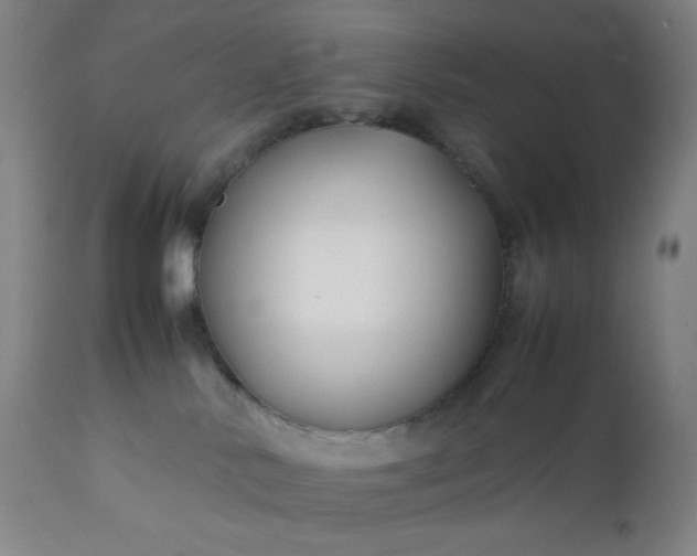 X0000112210042200908211529