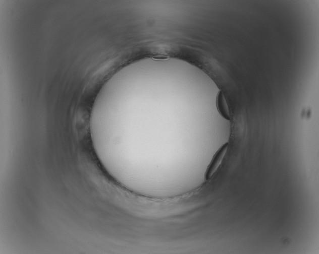 X0000112210043200908211529