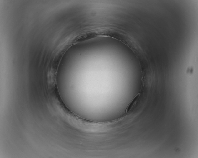 X0000112210044200908211529