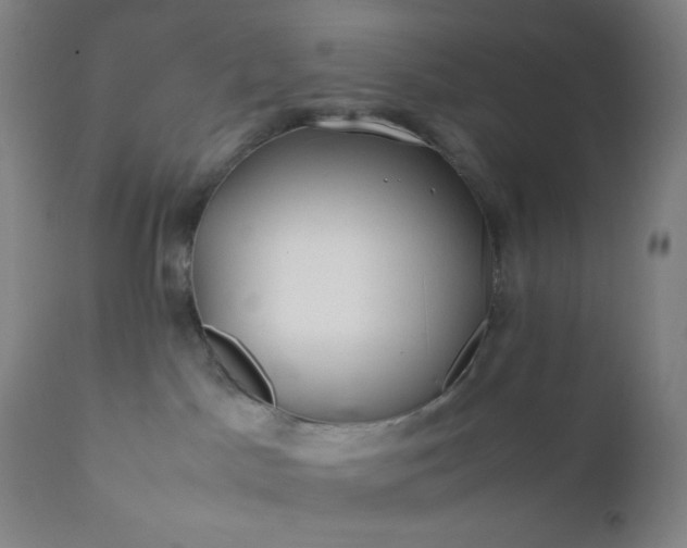 X0000112210045200908211529