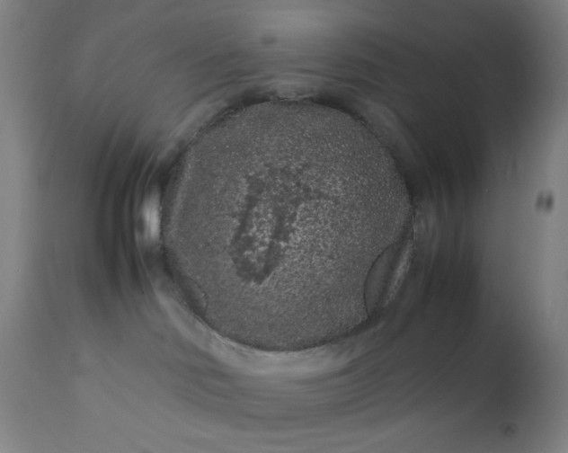 X0000112210046200908211529