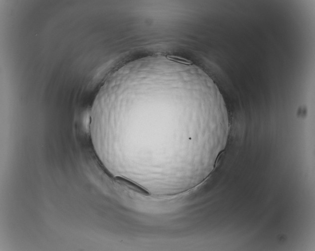 X0000112210047200908211529