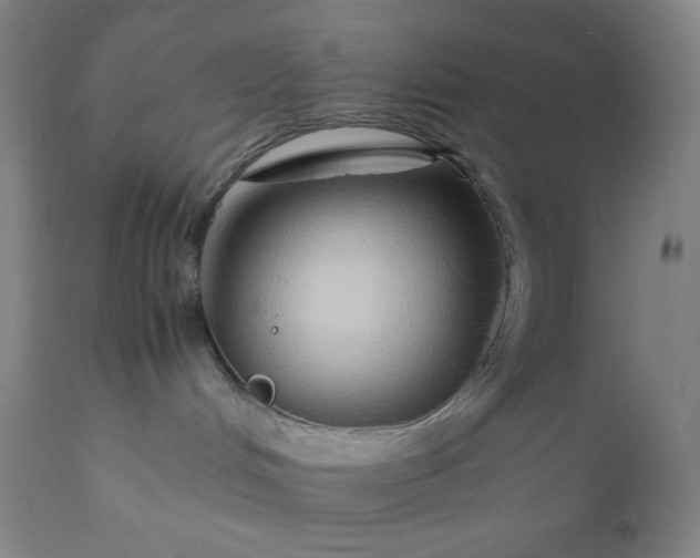 X0000112210048200908211528