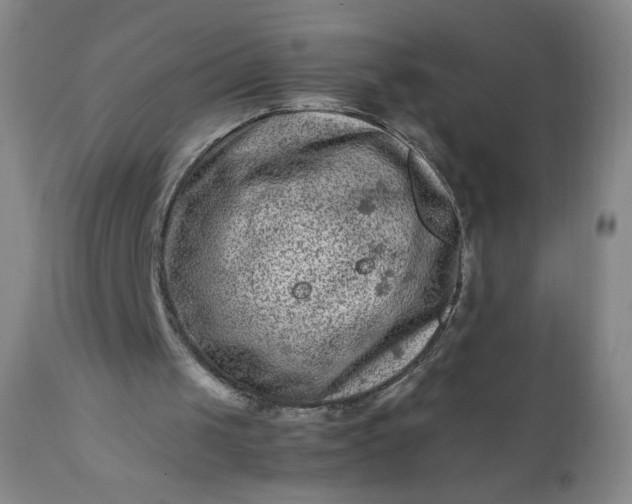 X0000112210049200908211528