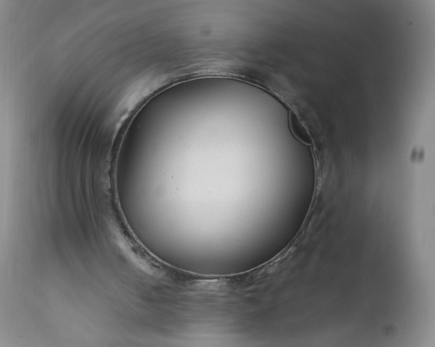 X0000112210050200908211528