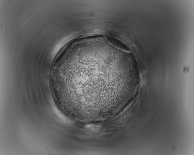 X0000112210051200908211528