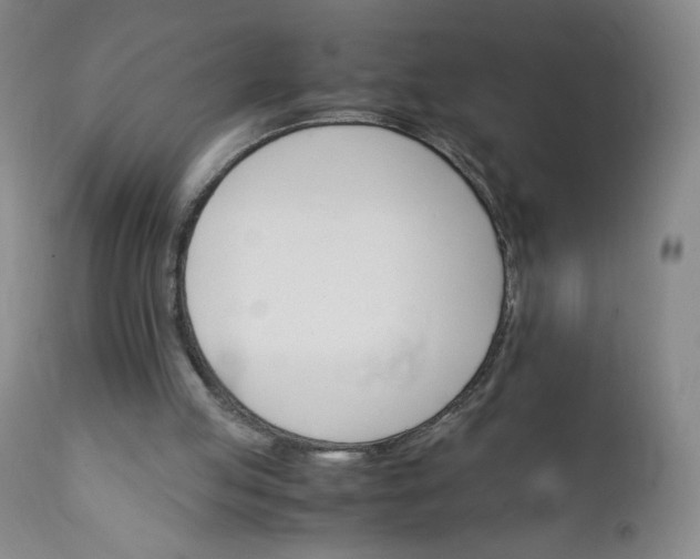 X0000112210053200908211528