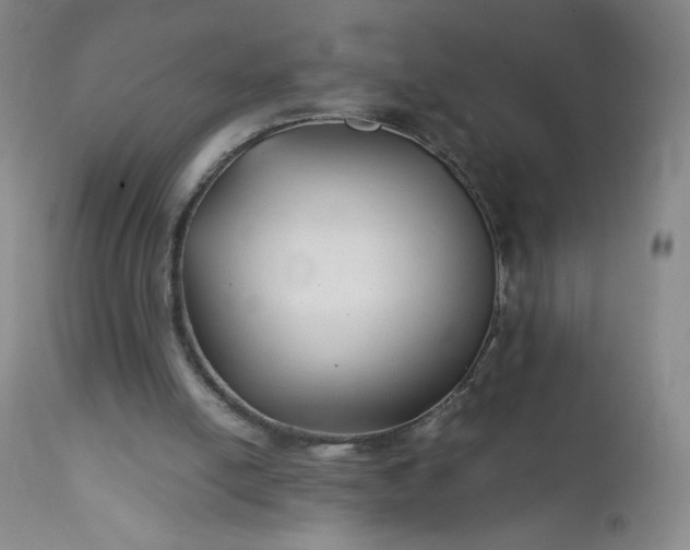 X0000112210054200908211528