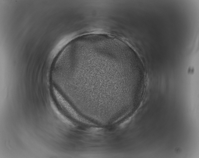 X0000112210055200908211528