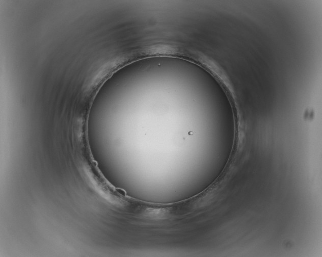 X0000112210057200908211528