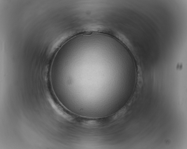 X0000112210058200908211528