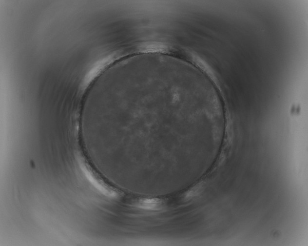 X0000112210059200908211528