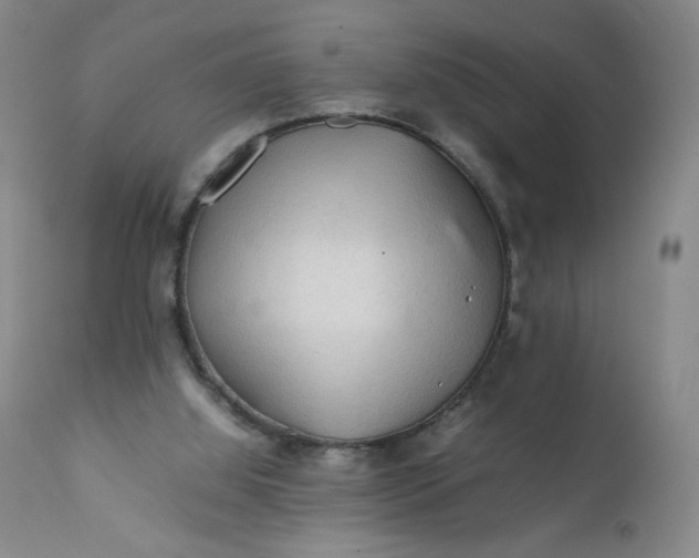 X0000112210060200908211528