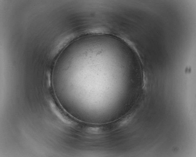 X0000112210061200908211528