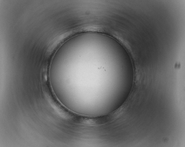 X0000112210062200908211528