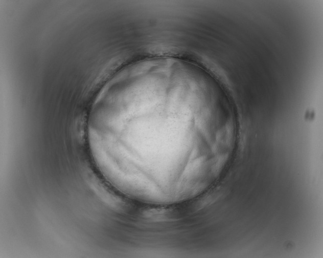 X0000112210065200908211528