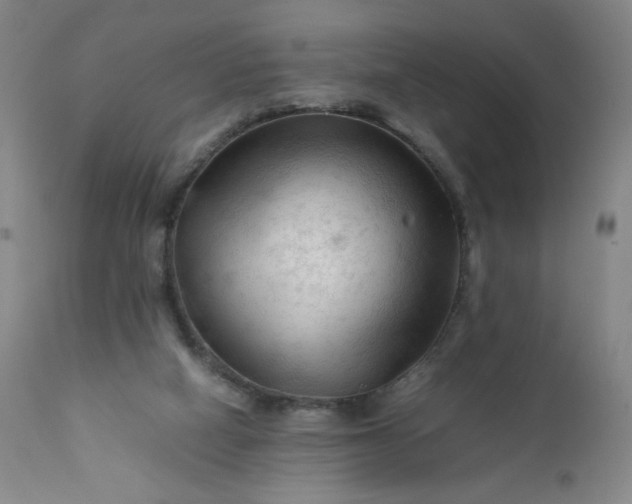 X0000112210066200908211528