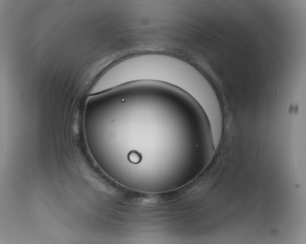 X0000112210068200908211528