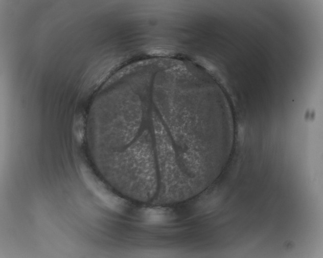 X0000112210069200908211528