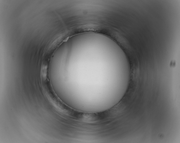 X0000112210070200908211528