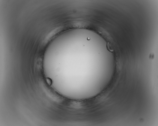 X0000112210071200908211528