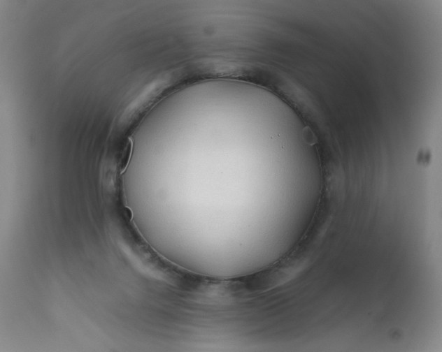 X0000112210072200908211528