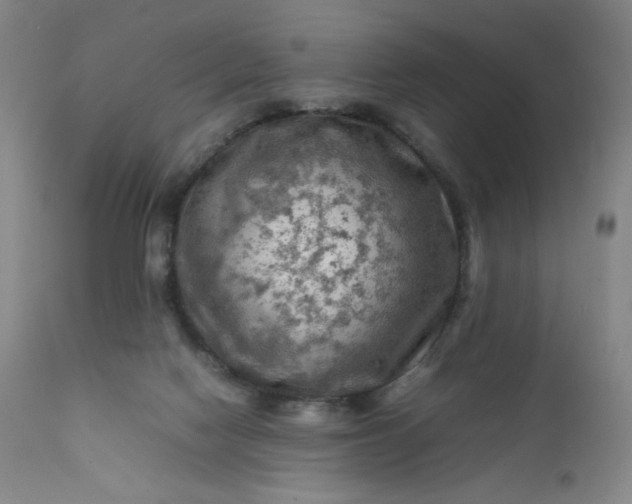 X0000112210074200908211528