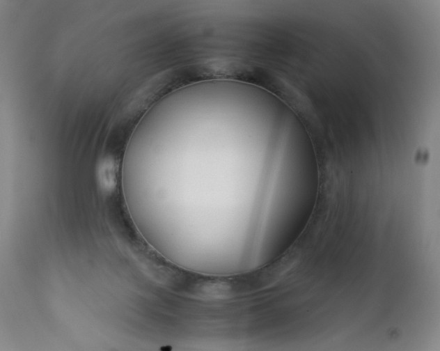 X0000112210075200908211528