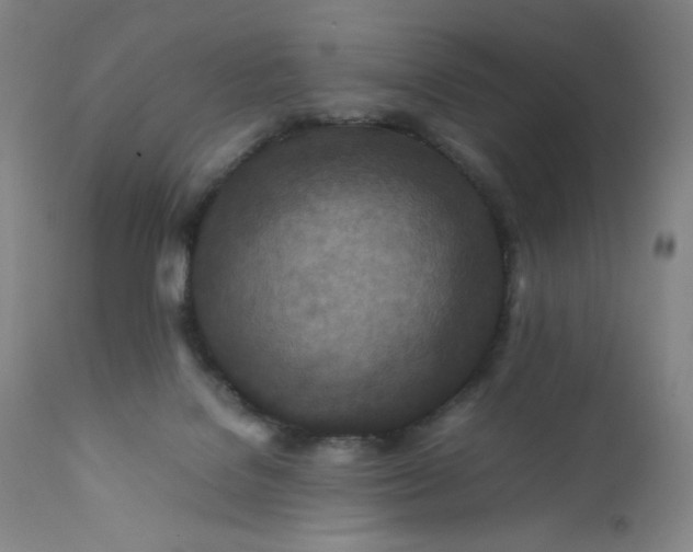 X0000112210076200908211528