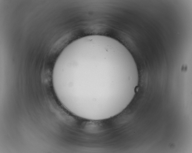 X0000112210077200908211528