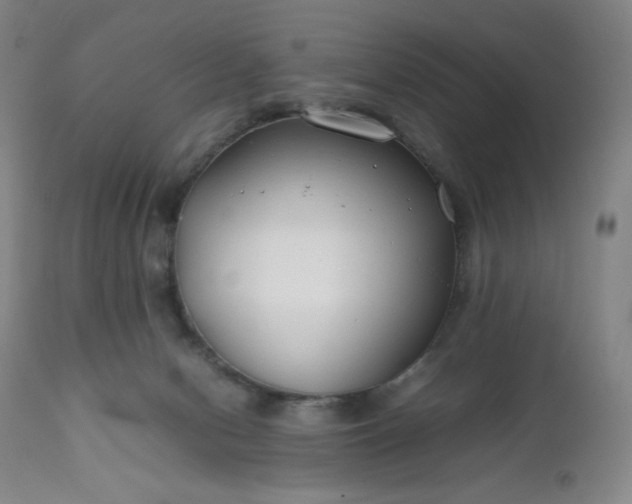 X0000112210078200908211528