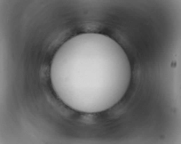 X0000112210079200908211528