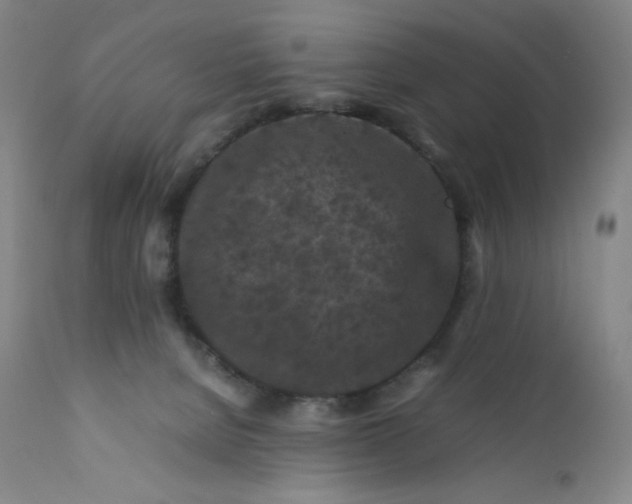 X0000112210080200908211528