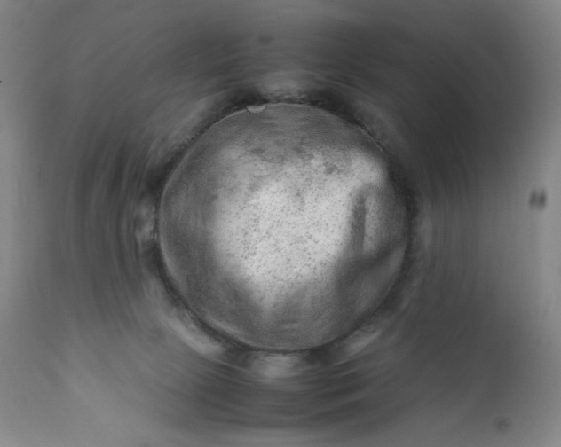 X0000112210081200908211528